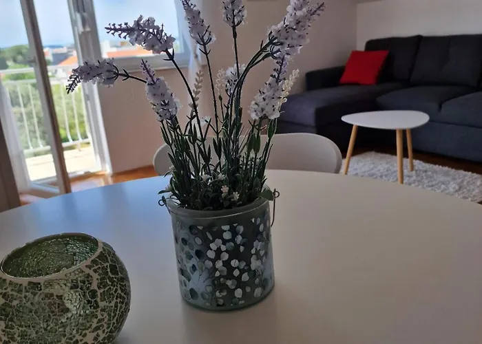 Apartmani Zinda